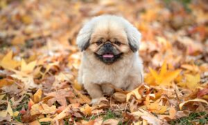 20代女性の体脂肪率を健康的に管理する方法は？