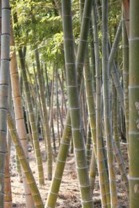 パーソナルジムとスポーツジムの違いは何ですか？