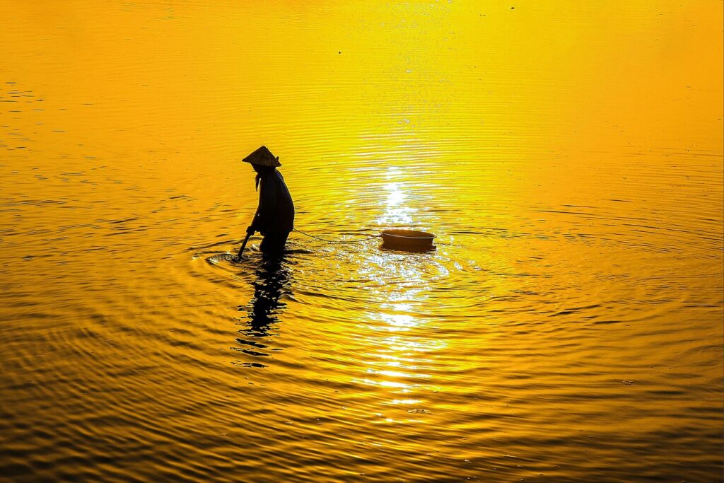 プロテインを摂取して太る女性のための効果的な食事法は？