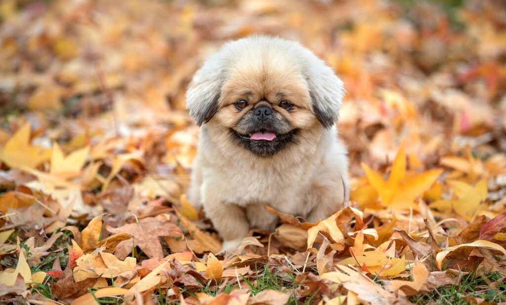 ジムに行くのが怖い女性初心者が安心してスタートする方法は？