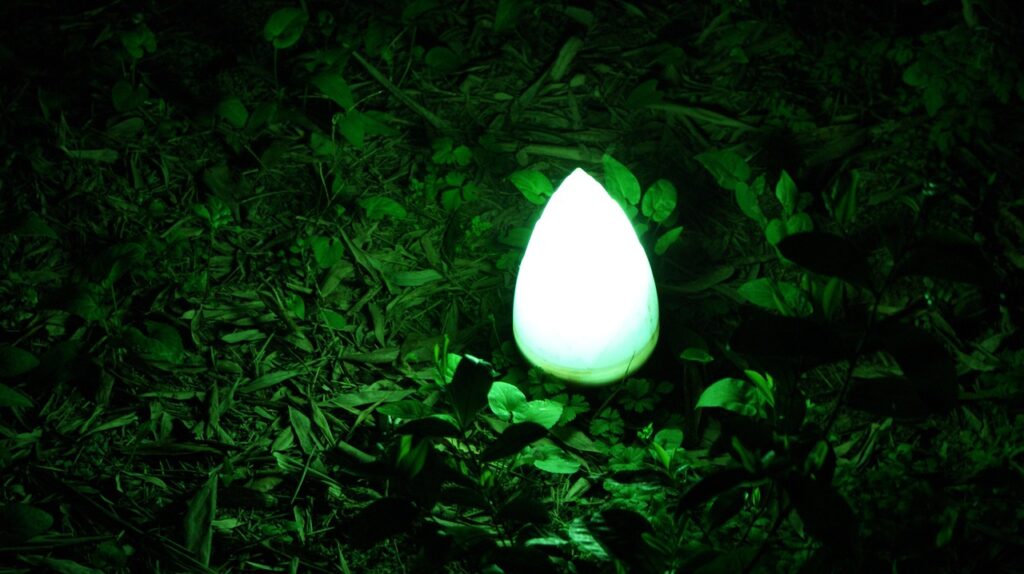 オンライン vs 実店舗 ジムのメリットとデメリットはどちらが勝る？