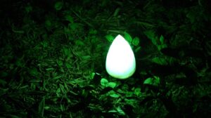 オンライン vs 実店舗 ジムのメリットとデメリットはどちらが勝る？